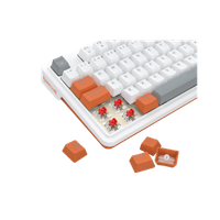Mechanical Keyboard